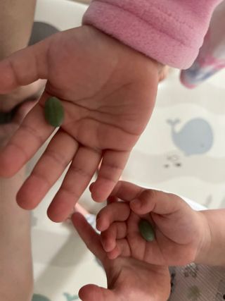 박뱅님이 올린 리뷰 사진 3