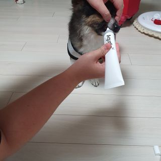 꽃수니어니님이 올린 리뷰 사진 4