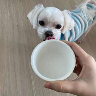 Kongeunji님이 올린 리뷰 사진 3