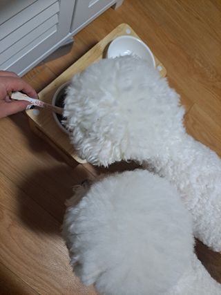 My Pet Care 모발과 모질 피부건강에 개좋아 — 5점을 준 리뷰어가 2021년 1월 올린 사용 사진