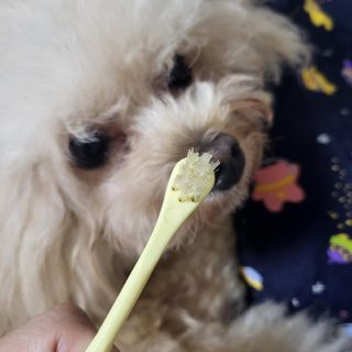 마이츄님이 올린 리뷰 사진 4