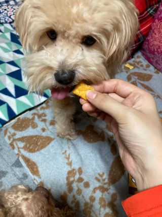 민트초코님이 올린 리뷰 사진 3