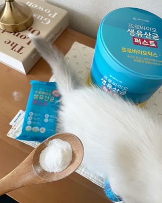 ccoyo님이 올린 리뷰 사진 4