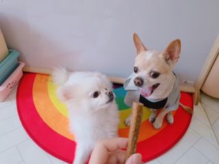 밍밍님이 올린 리뷰 사진 3