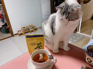 cobemom님이 올린 리뷰 사진 2