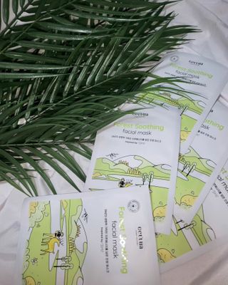 세뚜아(Cettua) [세뚜아] 포레스트 수딩 마스크 Cettual Forest  Soothing Mask 5매 — 5점을 준 리뷰어가 2024년 4월 올린 사용 사진