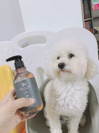 마리앤루이펫샴푸 [mari and louie pet shampoo] — 4점을 준 리뷰어가 2021년 5월 올린 사용 사진