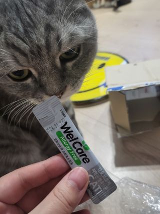 호롤로님이 올린 리뷰 사진 3