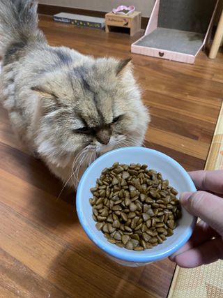 하린님이 올린 리뷰 사진 1