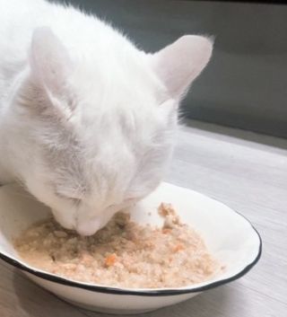 은쮸기님이 올린 리뷰 사진 4
