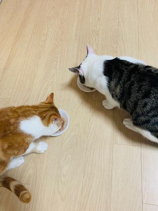 별두개님이 올린 리뷰 사진 3
