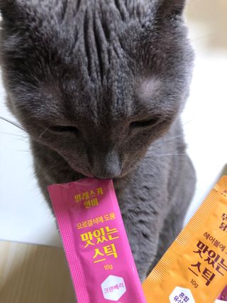 냥냥이님이 올린 리뷰 사진 1