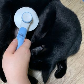 수린님이 올린 리뷰 사진 2