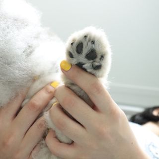오코리타님이 올린 리뷰 사진 4