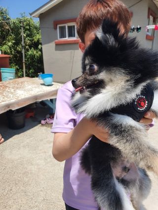 김이설님이 올린 리뷰 사진 1