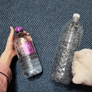 몽베스트 MONTBEST 1L 12입 — 5점을 준 리뷰어가 2022년 2월 올린 사용 사진
