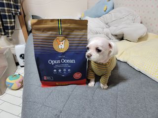 두부님이 올린 리뷰 사진 1