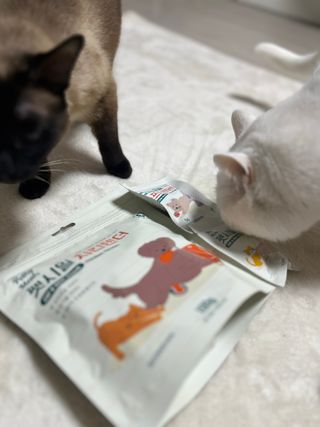 [펫시밀] 원물그대로 영양듬뿍 진공동결건조 치킨텐더100g, 열빙어트릿100g 강아지 고양이 간식 — 5점을 준 리뷰어가 2023년 5월 올린 사용 사진