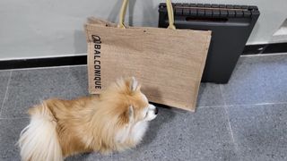 좋아님이 올린 리뷰 사진 2