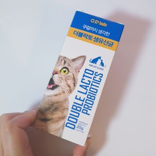 씨디랩 구강에서 장까지 한 번에 관리하는 더블락토 강아지 고양이 유산균 — 5점을 준 리뷰어가 2021년 6월 올린 사용 사진