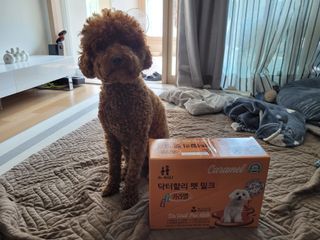 sssee님이 올린 리뷰 사진 1