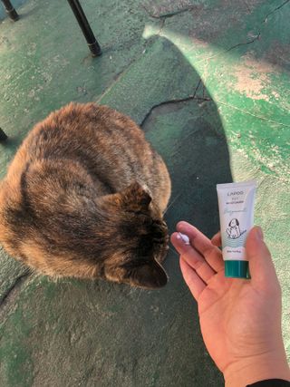 이승진님이 올린 리뷰 사진 3