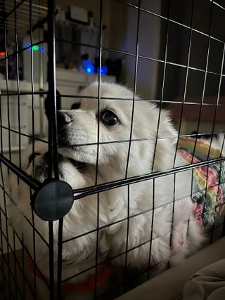신다소미님이 올린 리뷰 사진 2