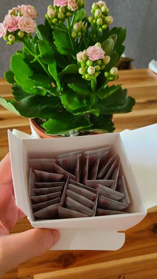 방방곳곳 청수체 콜라겐 — 5점을 준 리뷰어가 2022년 4월 올린 사용 사진