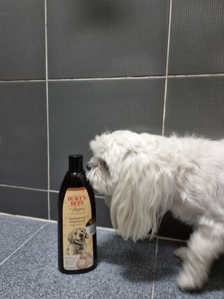 핸이님이 올린 리뷰 사진 3