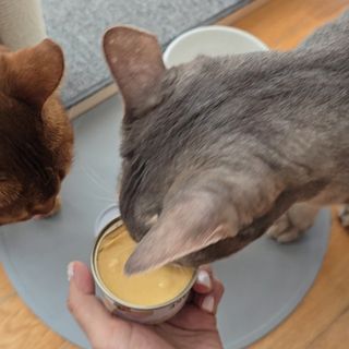 마키님이 올린 리뷰 사진 2