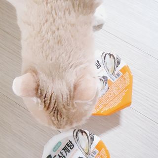 LoveLoveNa님이 올린 리뷰 사진 1