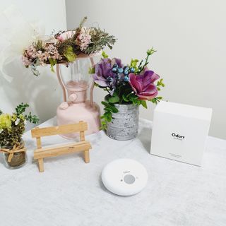 꾹이맘님이 올린 리뷰 사진 1
