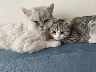 단발소녀님이 올린 리뷰 사진 1