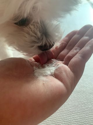 My Pet Care 모발과 모질 피부건강에 개좋아 — 5점을 준 리뷰어가 2021년 3월 올린 사용 사진