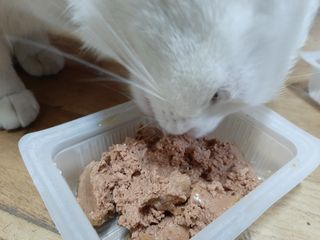 야키소바빵님이 올린 리뷰 사진 2