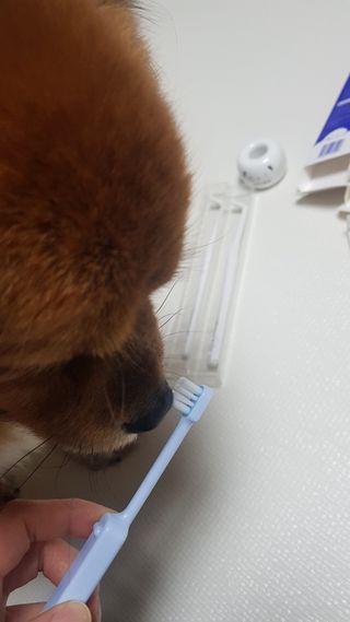미미네님이 올린 리뷰 사진 4