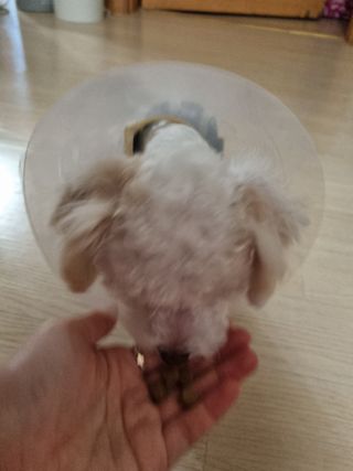 귀요미두공주맘님이 올린 리뷰 사진 3