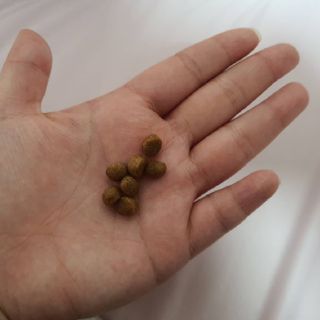 빵슬님이 올린 리뷰 사진 4