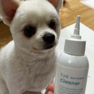 [댕모어 클리너 3종] 아이클리너 / 이어클리너 / 덴탈클리너 3종 세트 (120ml) — 5점을 준 리뷰어가 2023년 10월 올린 사용 사진