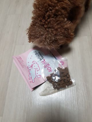 My Pet Care 천연단백질 관절건강에 개좋아 — 4.5점을 준 리뷰어가 2020년 12월 올린 사용 사진