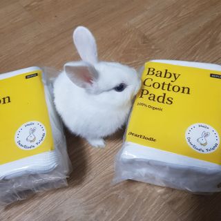 지니야님이 올린 리뷰 사진 2