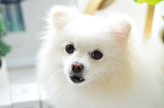 JAY님이 올린 리뷰 사진 2