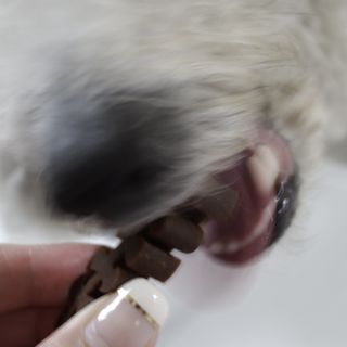 랄라맘마님이 올린 리뷰 사진 1