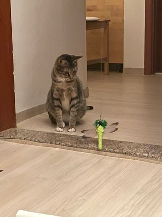 SanghyukCha님이 올린 리뷰 사진 3