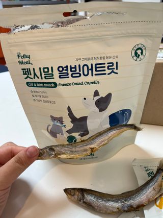 [펫시밀] 원물그대로 영양듬뿍 진공동결건조 치킨텐더100g, 열빙어트릿100g 강아지 고양이 간식 — 5점을 준 리뷰어가 2023년 5월 올린 사용 사진