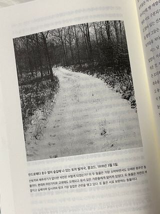 초코님이 올린 리뷰 사진 3