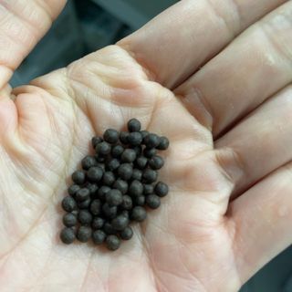 김지려니님이 올린 리뷰 사진 2