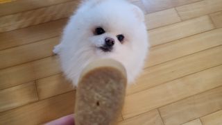 비니씨님이 올린 리뷰 사진 3