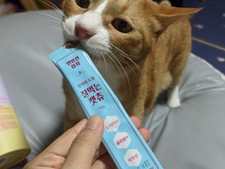 페페로니 잘 먹는 캣츄 - 무항생제 닭고기 12개 + 원양선 참치 12개 — 5점을 준 리뷰어가 2021년 8월 올린 사용 사진