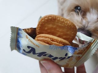 아코맘님이 올린 리뷰 사진 3